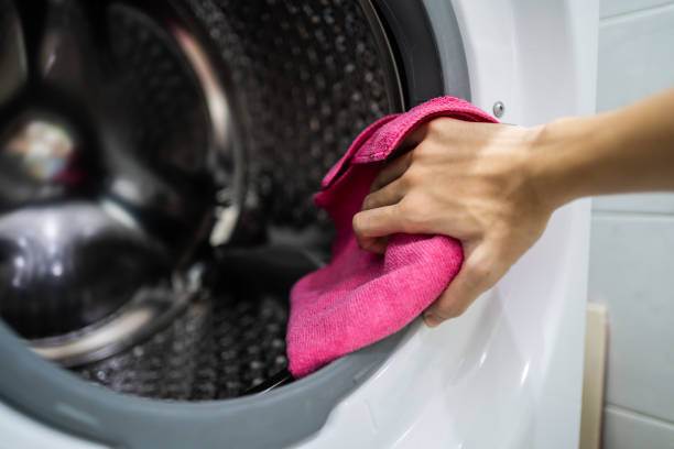 Best Mold Damage Restoration  in Harahan, LA