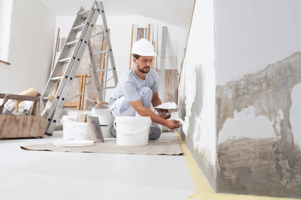 Best Black Mold Removal  in Harahan, LA